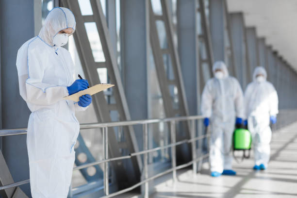 Best Emergency Mold Remediation  in Grandyle Village, NY