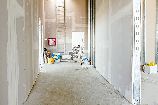 Best Forensic Mold Investigation  in Grandyle Village, NY
